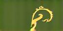 Borneo Wildlife Fund Logo
