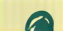 Local Costa Rican NGO Logo